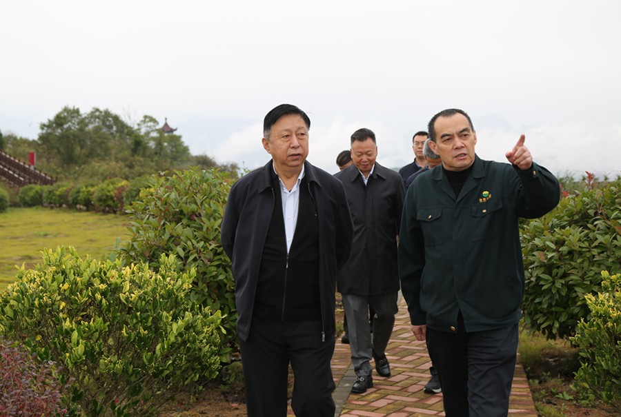 19-2021年10月，原國土資源部副部長汪民蒞臨公司調(diào)研。.jpg