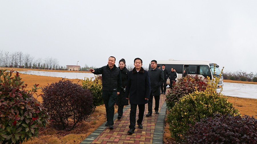 45-2020年12月，省高級人民法院黨組成員、副院長任建國蒞臨金徽股份調(diào)研知識產(chǎn)權(quán)司法保護工作。.jpg